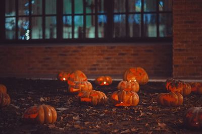 Close-up of pumpkins on window during autumn