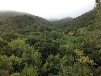 Scenic view of green landscape and mountains