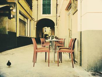 Chairs and table in building