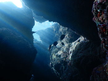 Rock formation in sea