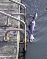 Close-up of wooden door
