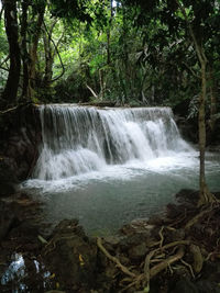Scenic view of waterfall in forest