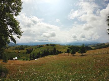 Scenic view of agricultural landscape against sky