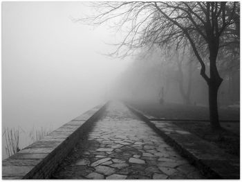 Footpath leading towards bare trees