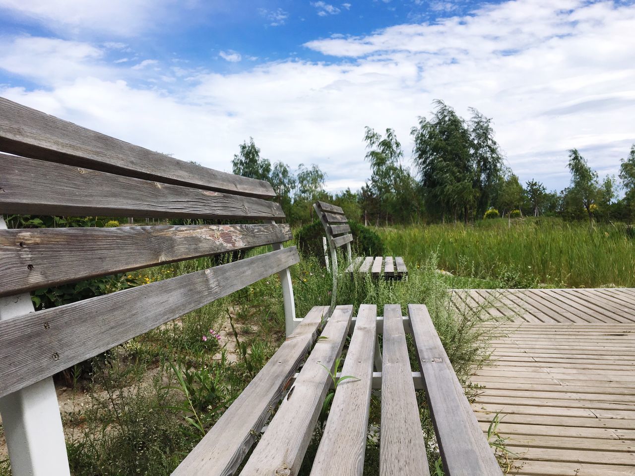 sky, empty, bench, wooden, tree, solitude, cloud, tranquility, plank, outdoors, relaxation, day, tranquil scene, narrow, the way forward, nature, green, surface level, cloud - sky, long, no people, scenics