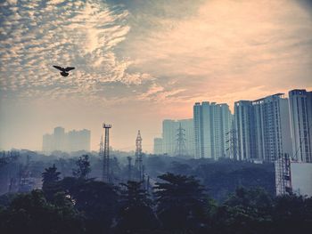 Silhouette birds flying over buildings in city