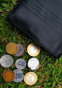 High angle view of coins