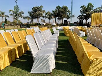 Row of chairs and palm trees in park