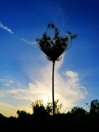 Low angle view of silhouette tree against sky