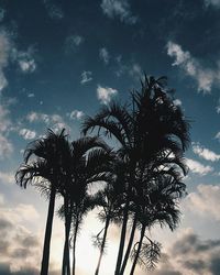 Low angle view of palm trees against cloudy sky