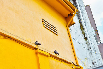 Low angle view of yellow building