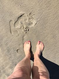 Low section of woman with bare feet standing on wet sand at beach