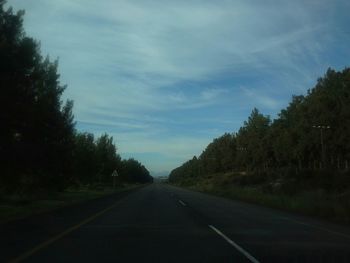 Road passing through trees