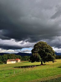 Scenic view of grassy field against cloudy sky