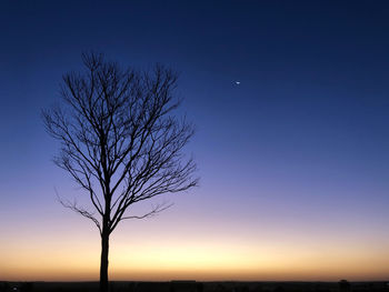 Silhouette bare tree against clear sky at sunset