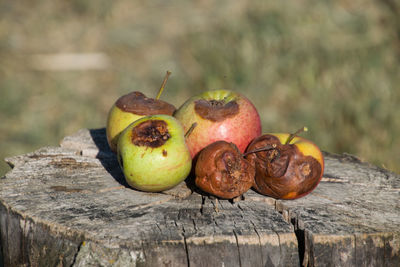 Close-up of apple on tree stump