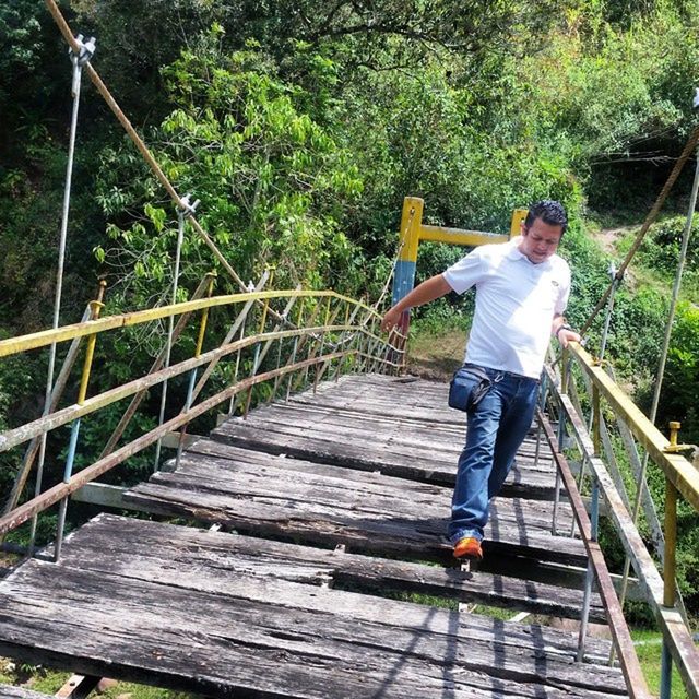 full length, lifestyles, leisure activity, tree, railing, casual clothing, rear view, childhood, footbridge, walking, elementary age, the way forward, boys, steps, steps and staircases, bridge - man made structure, standing, girls