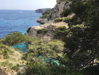 High angle view of sea and trees against sky