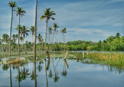 Scenic view of lake against sky