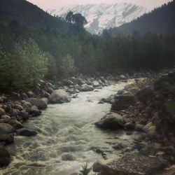 River flowing through rocks