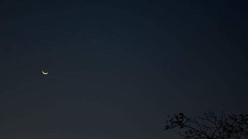 Low angle view of moon in sky