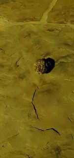 High angle view of a sand