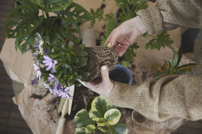 Woman planting flowers