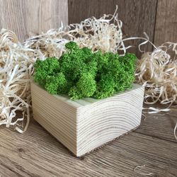 High angle view of vegetables on table