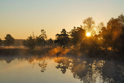 Plants by lake against sky during sunset