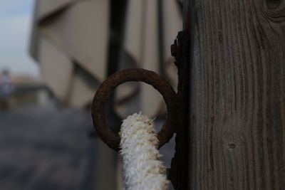 Close-up of rusty metal fence against blurred background