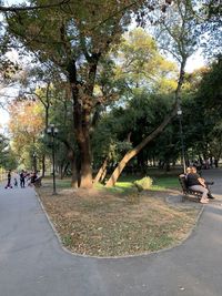 People on footpath in park during autumn