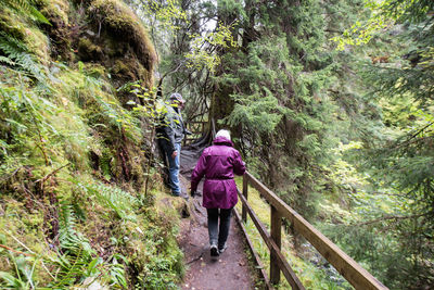 Rear view of senior woman walking on footbridge amidst trees in forest