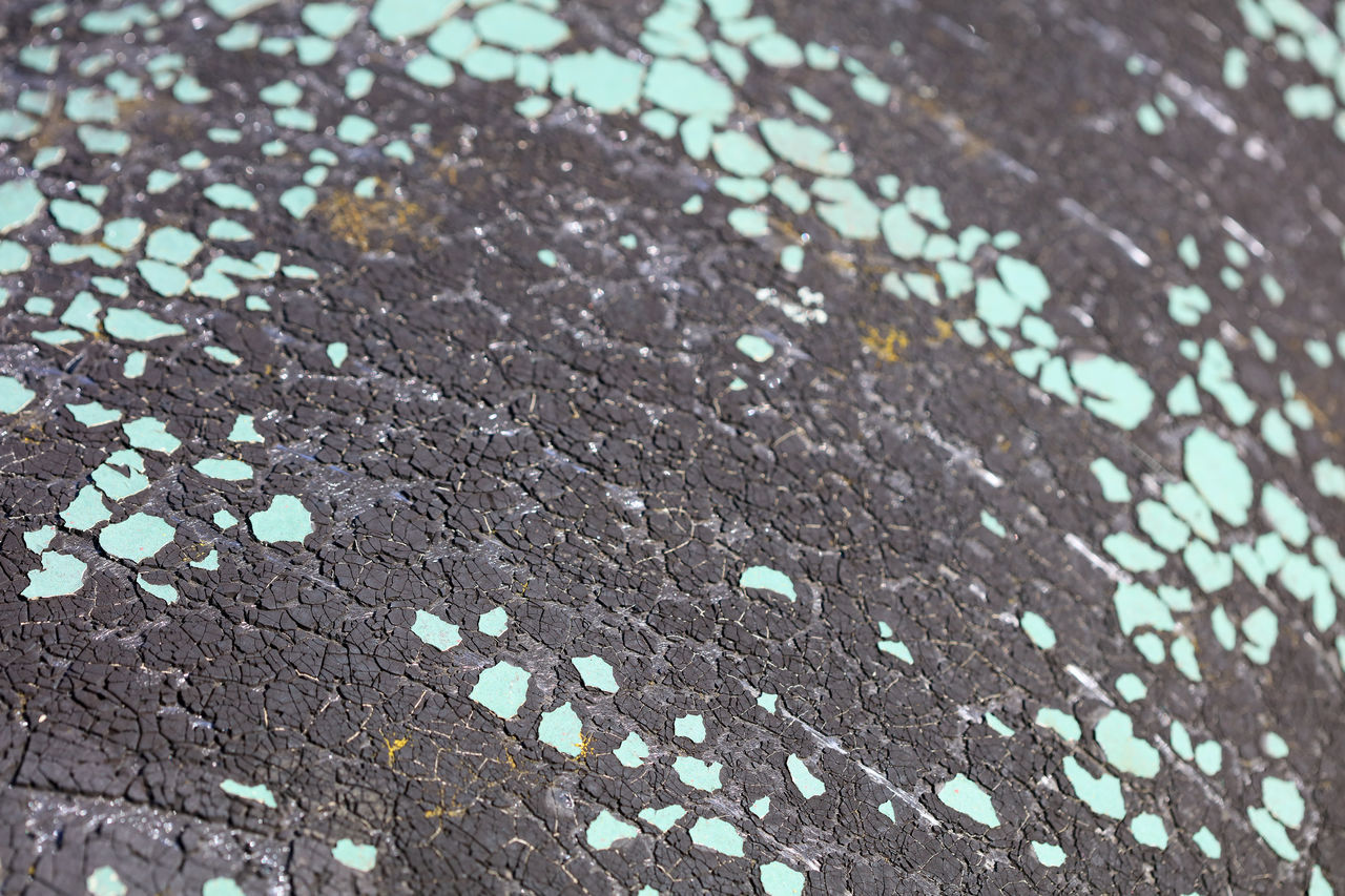 HIGH ANGLE VIEW OF RAINDROPS ON STONE