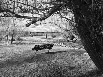 Empty bench in park