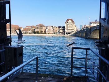 Man sailing on river by city against clear sky