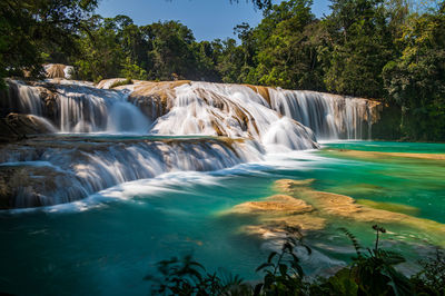 Scenic view of waterfall in forest