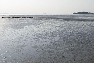 Scenic view of sea against clear sky