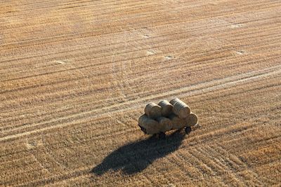 Aerial view of hay bales