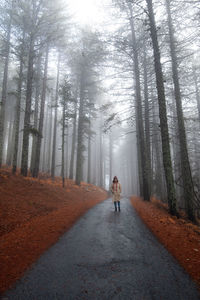 Rear view of woman walking in forest