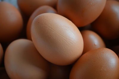 Close up of chicken egg