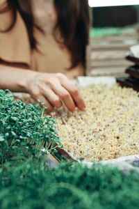 Midsection of woman preparing food