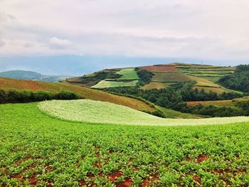 Scenic view of landscape against sky