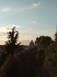 Trees and buildings against sky during sunset