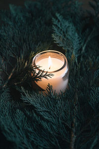 Close-up of illuminated candle in jar amidst christmas tree