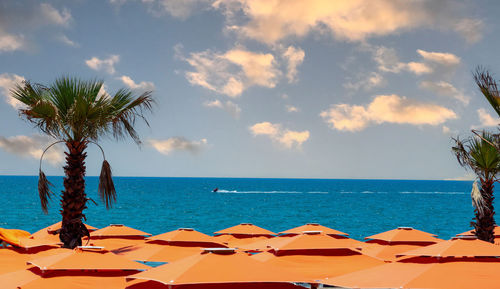 Palm trees on beach against sky