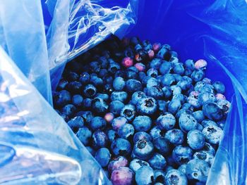 High angle view of blueberries in plastic