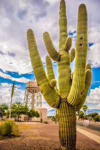 Statue of cactus plant against sky