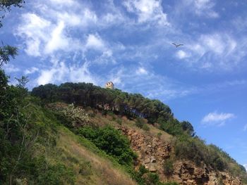 Birds flying over landscape against sky