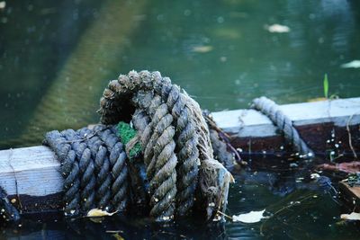 Close-up of rope tied to moored at harbor