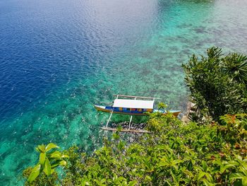 High angle view of plants by sea